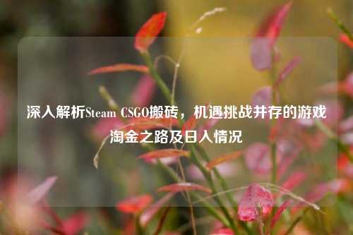深入解析Steam CSGO搬砖，机遇挑战并存的游戏淘金之路及日入情况
