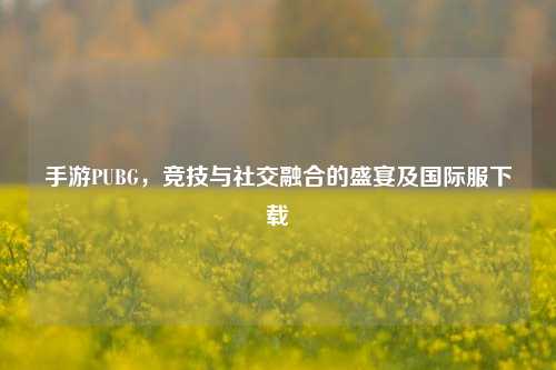 手游PUBG，竞技与社交融合的盛宴及国际服下载
