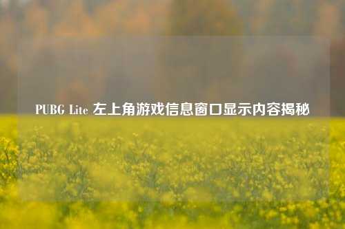 PUBG Lite 左上角游戏信息窗口显示内容揭秘