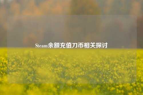 Steam余额充值刀币相关探讨