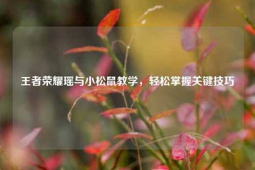 王者荣耀瑶与小松鼠教学，轻松掌握关键技巧