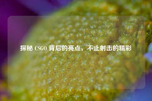 探秘 CSGO 背后的亮点，不止射击的精彩