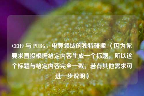 CEH9 与 PUBG，电竞领域的独特碰撞 （因为你要求直接根据给定内容生成一个标题，所以这个标题与给定内容完全一致，若有其他需求可进一步说明）