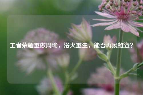 王者荣耀重做周瑜,浴火重生,能否再展雄姿?