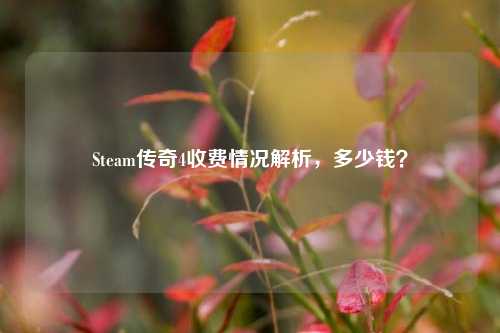 Steam传奇4收费情况解析，多少钱？