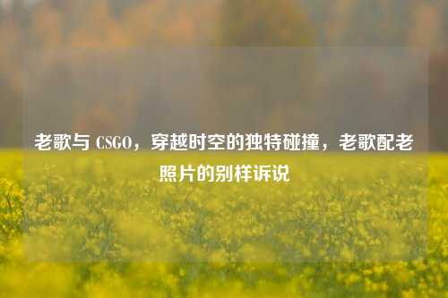 老歌与 CSGO，穿越时空的独特碰撞，老歌配老照片的别样诉说