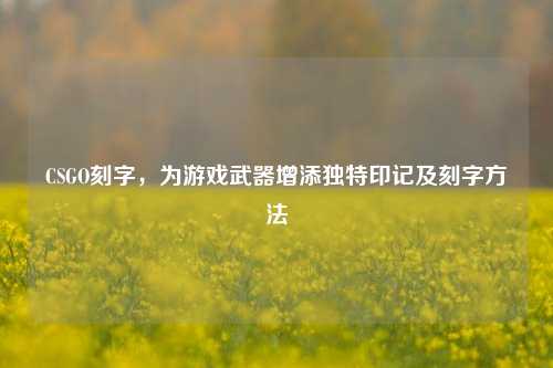 CSGO刻字，为游戏武器增添独特印记及刻字方法