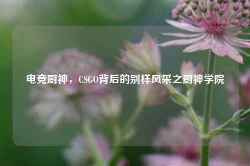 电竞厨神，CSGO背后的别样风采之厨神学院