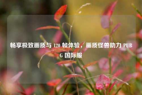 畅享极致画质与 120 帧体验，画质怪兽助力 PUBG 国际服