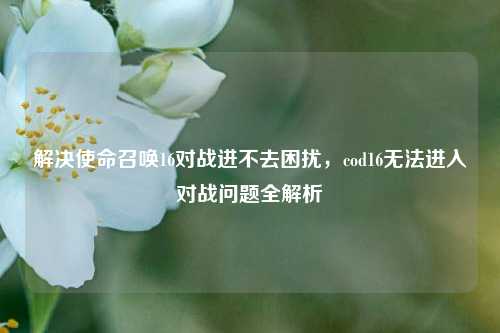 解决使命召唤16对战进不去困扰，cod16无法进入对战问题全解析
