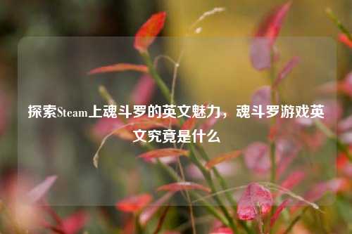 探索Steam上魂斗罗的英文魅力，魂斗罗游戏英文究竟是什么