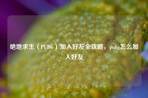 绝地求生（PUBG）加入好友全攻略，pubg怎么加人好友