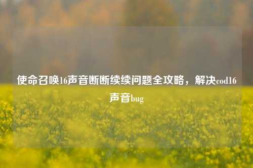 使命召唤16声音断断续续问题全攻略，解决cod16声音bug