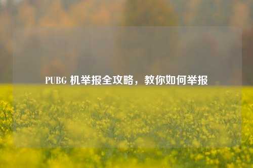 PUBG 机举报全攻略，教你如何举报