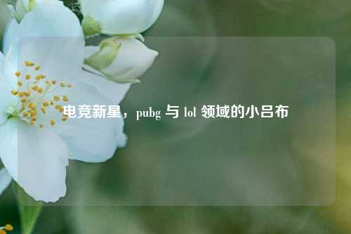 电竞新星，pubg 与 lol 领域的小吕布
