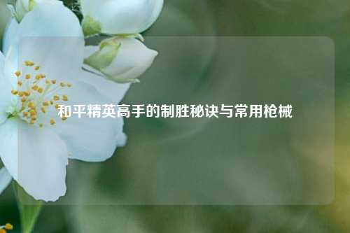 和平精英高手的制胜秘诀与常用枪械
