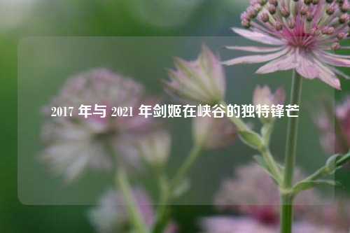 2017 年与 2021 年剑姬在峡谷的独特锋芒