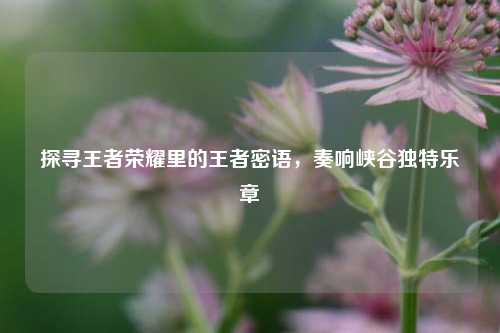 探寻王者荣耀里的王者密语，奏响峡谷独特乐章