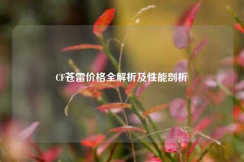 CF苍雷价格全解析及性能剖析