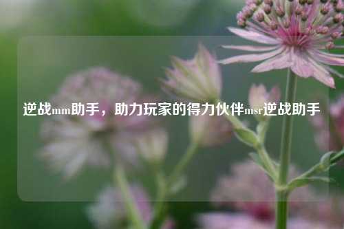 逆战mm助手，助力玩家的得力伙伴msr逆战助手
