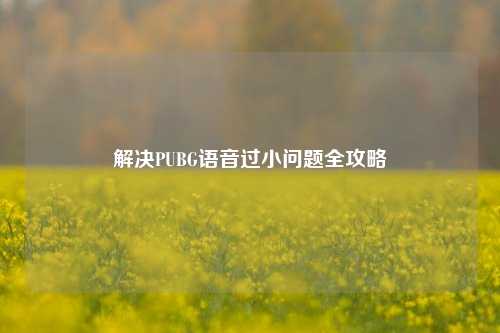解决PUBG语音过小问题全攻略
