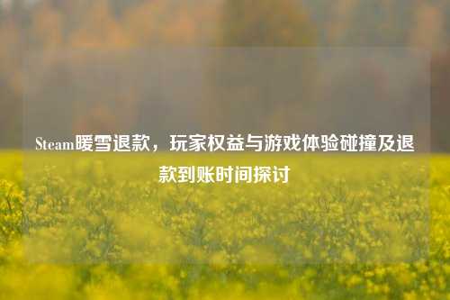 Steam暖雪退款，玩家权益与游戏体验碰撞及退款到账时间探讨