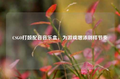 CSGO打鼓配音音乐盒，为游戏增添别样节奏