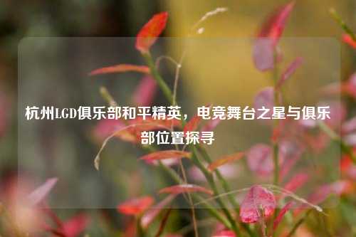 杭州LGD俱乐部和平精英，电竞舞台之星与俱乐部位置探寻