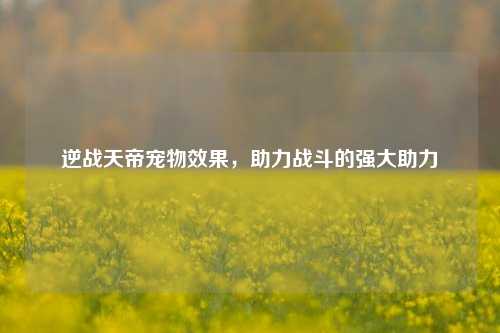 逆战天帝宠物效果，助力战斗的强大助力