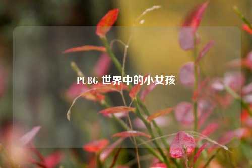PUBG 世界中的小女孩