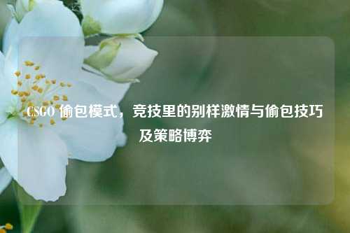 CSGO 偷包模式，竞技里的别样激情与偷包技巧及策略博弈