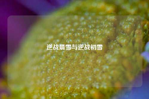 逆战晨雪与逆战初雪