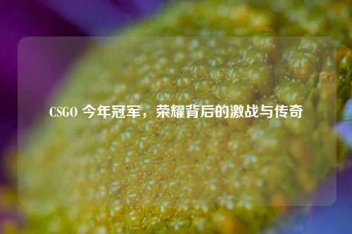 CSGO 今年冠军，荣耀背后的激战与传奇
