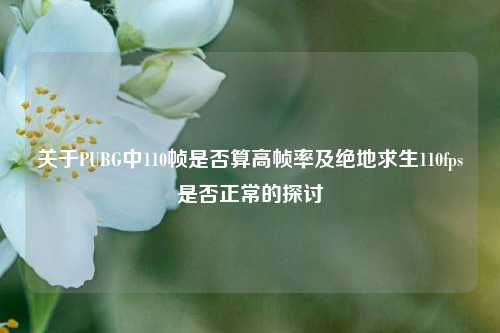 关于PUBG中110帧是否算高帧率及绝地求生110fps是否正常的探讨