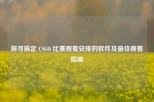 探寻搞定 CSGO 比赛观看安排的软件及最佳观看指南