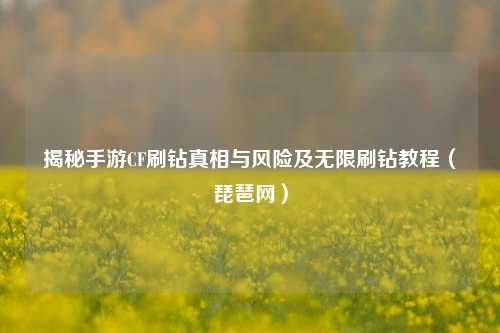 揭秘手游CF刷钻真相与风险及无限刷钻教程（琵琶网）
