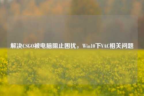 解决CSGO被电脑阻止困扰，Win10下VAC相关问题