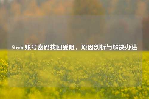 Steam账号密码找回受阻，原因剖析与解决办法