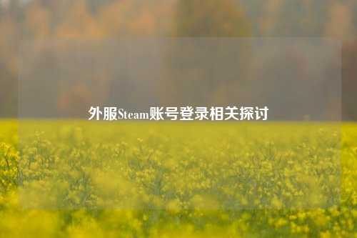 外服Steam账号登录相关探讨