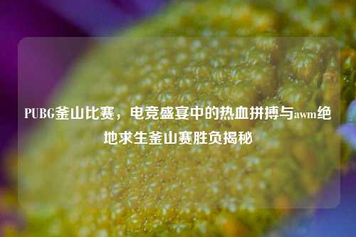 PUBG釜山比赛，电竞盛宴中的热血拼搏与awm绝地求生釜山赛胜负揭秘