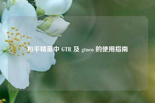 和平精英中 GTR 及 gtneo 的使用指南