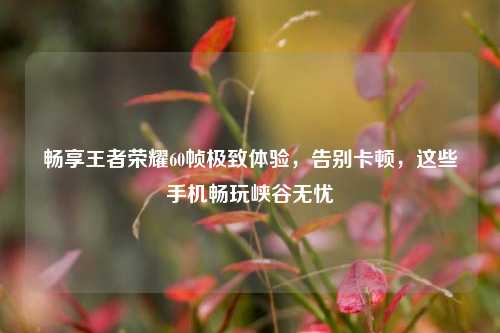 畅享王者荣耀60帧极致体验，告别卡顿，这些手机畅玩峡谷无忧