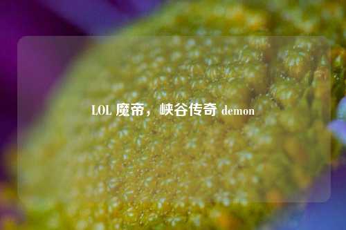LOL 魔帝，峡谷传奇 demon