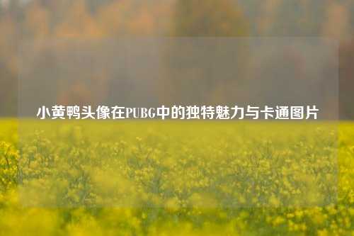 小黄鸭头像在PUBG中的独特魅力与卡通图片