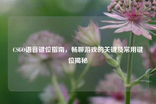CSGO语音键位指南，畅聊游戏的关键及常用键位揭秘