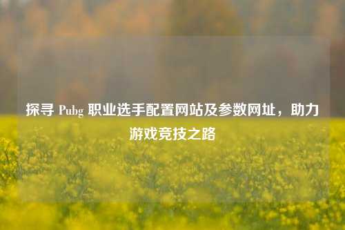 探寻 Pubg 职业选手配置网站及参数网址，助力游戏竞技之路