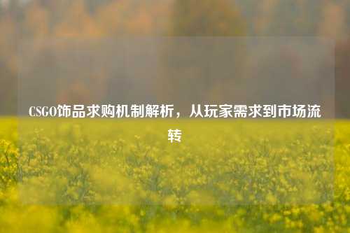 CSGO饰品求购机制解析，从玩家需求到市场流转