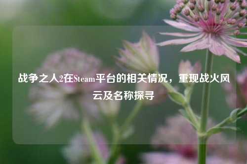 战争之人2在Steam平台的相关情况，重现战火风云及名称探寻