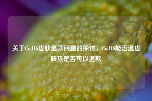 关于Cod16皮肤退款问题的探讨，Cod16能否退皮肤及是否可以退款
