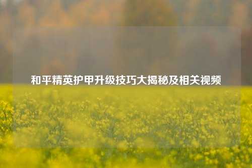 和平精英护甲升级技巧大揭秘及相关视频